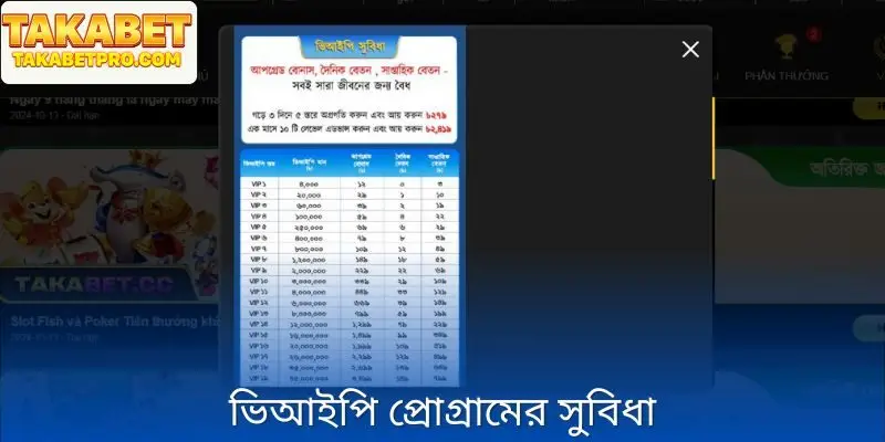 VIP প্রোগ্রামের সুবিধা – প্রত্যাশার বাইরে বিশেষাধিকারের স্থান